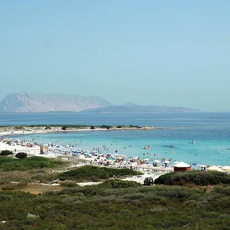 Le Maree I Lentischi * סאן תאודורו